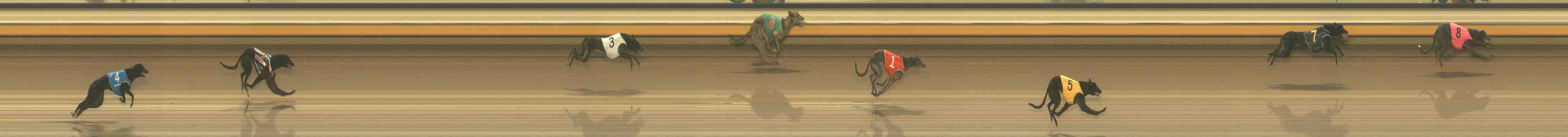 Race result finish photo